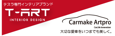 T-ART画像
